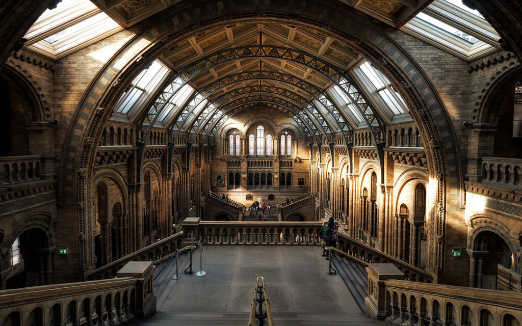 Natural History Museum, London. Credit: Public Co/Pixabay.