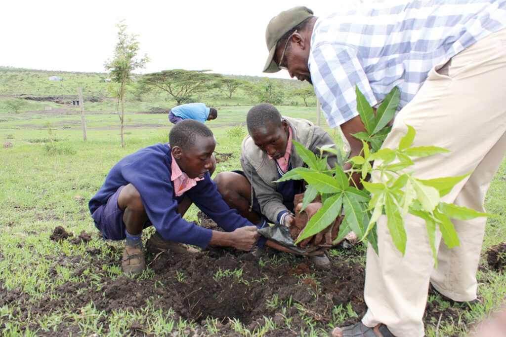 A depiction of the commitment by some African countries to provide ecological education for their younger generations.